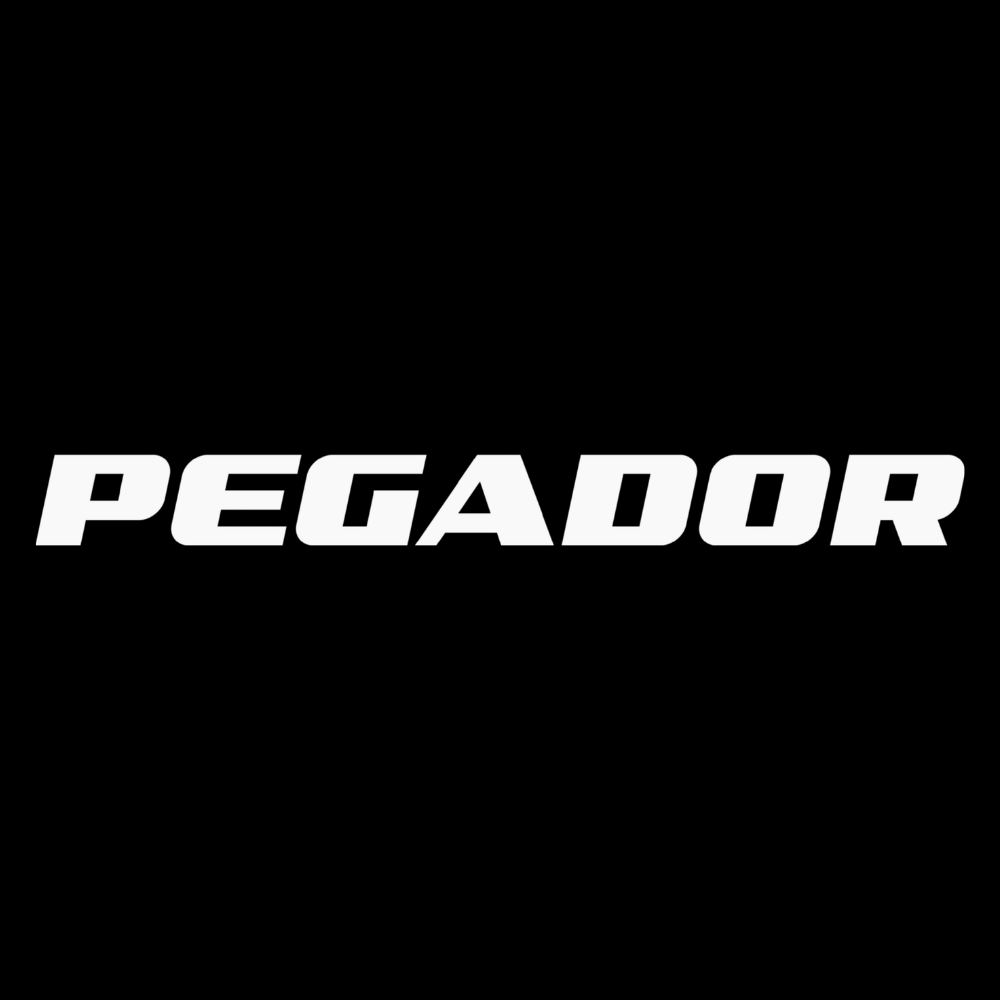 Pegador